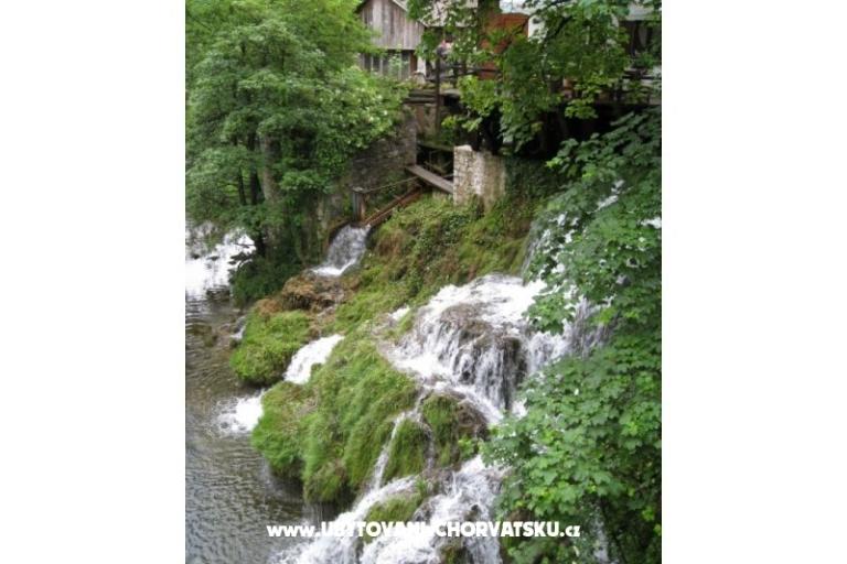 Kamers Roza – foto 16