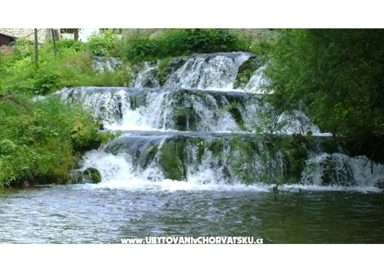 Kamers Roza – foto 17