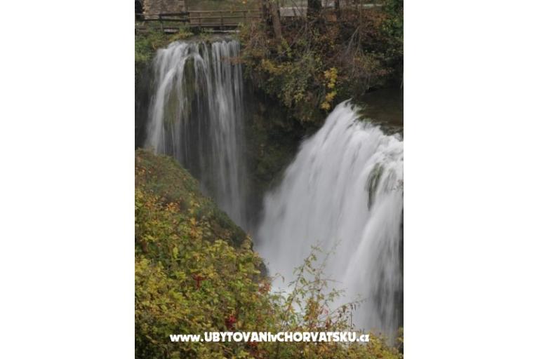 Kamers Roza – foto 8