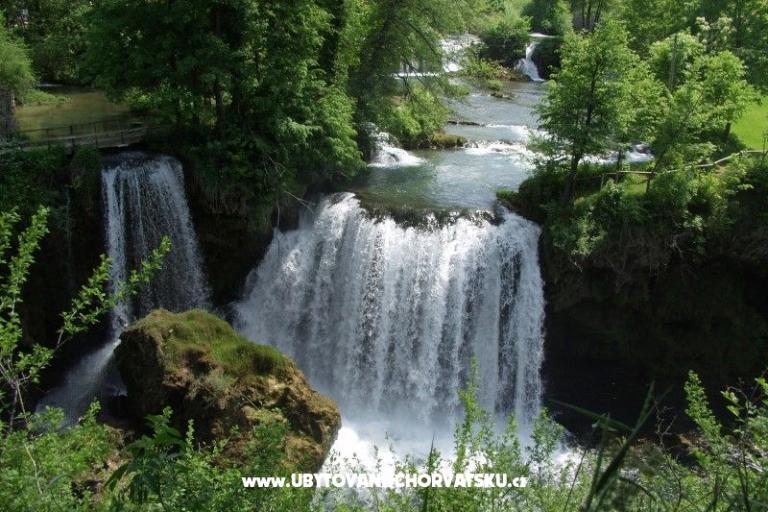 Kamers Roza – foto 9