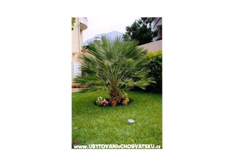 Villa Mozart – foto 16