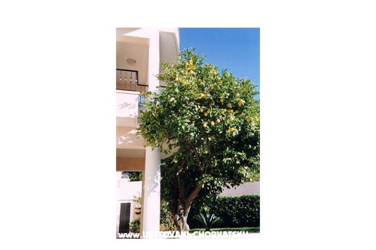 Villa Mozart – foto 17