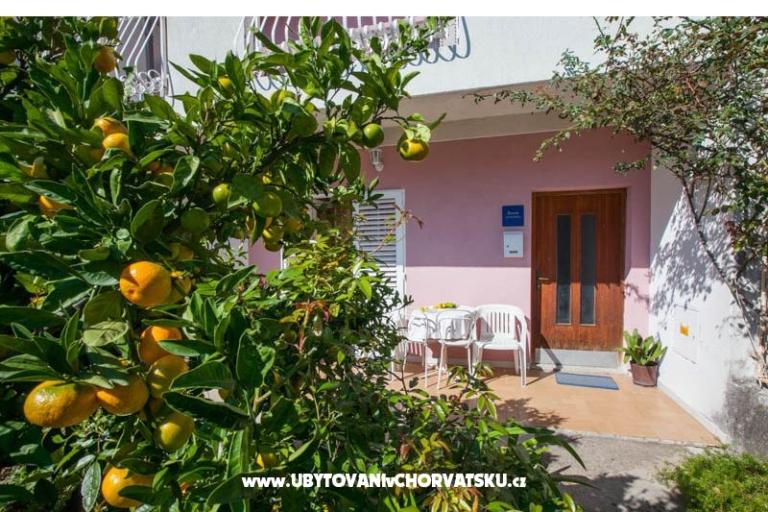 Appartement Olenka – foto 5