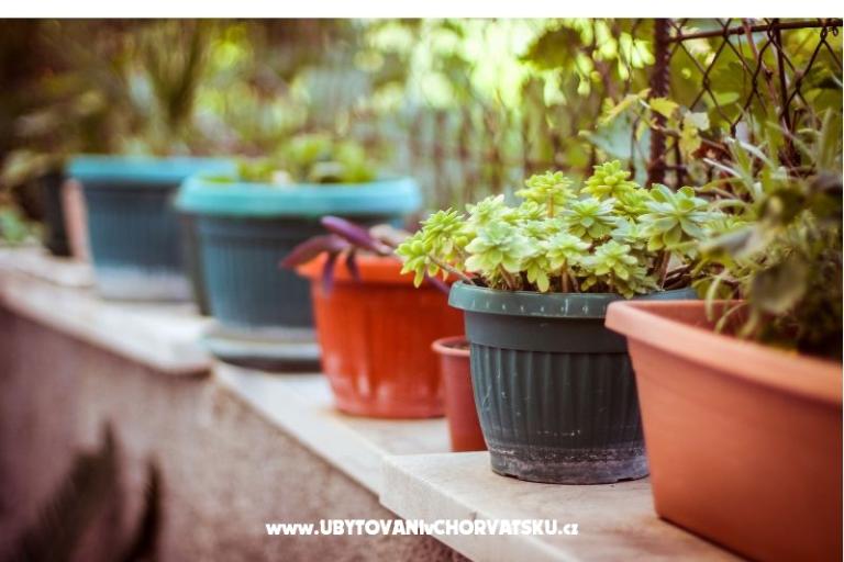 Appartementen Villa  Jasminka – foto 12