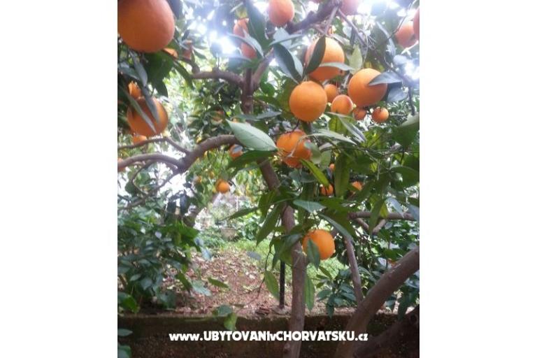 Appartementen Mila – foto 14