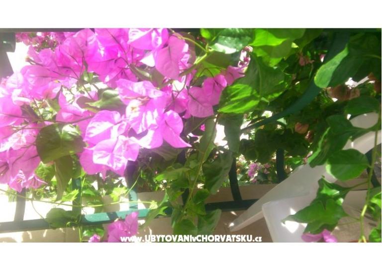 Appartementen Antonela – foto 2