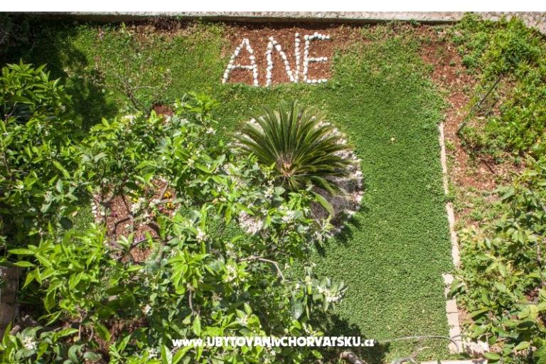 Appartementen Ane – foto 8