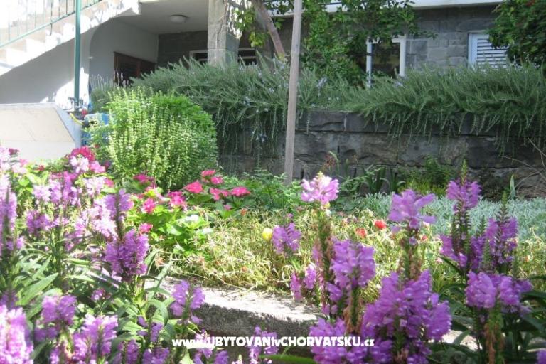 Appartementen Draga – foto 3