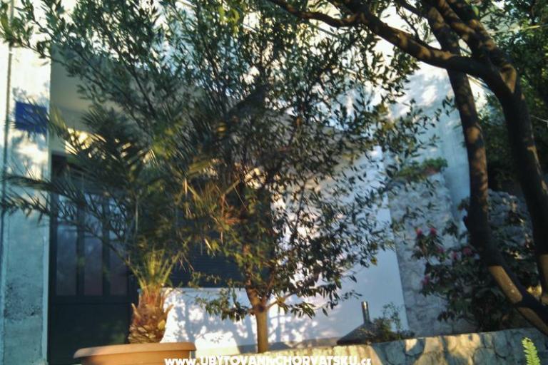 Appartementen Brusje – foto 2