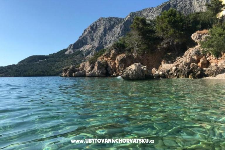 DRAŠNICE Villa Danica – foto 8