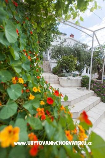 Villa Nola – foto 17