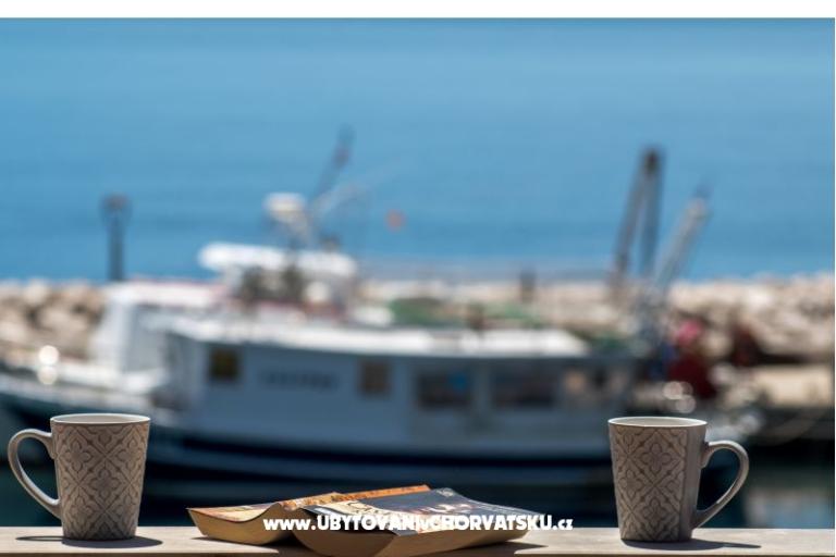 Villa Ribar – foto 13