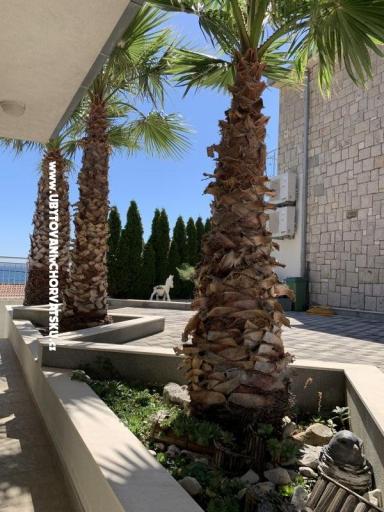 Appartementen Botuš – foto 3