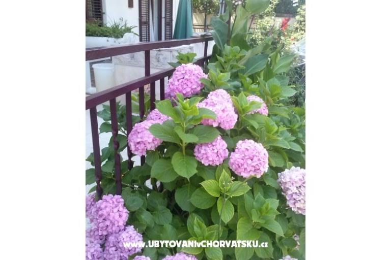 Appartementen Dana – foto 11