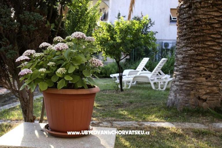 Appartementen Domeniko – foto 7