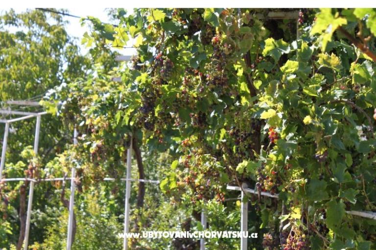 Appartementen Jasna – foto 17