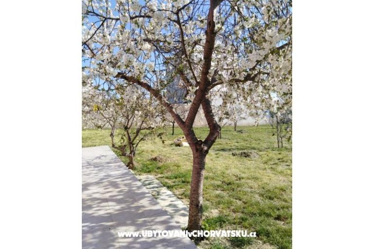 Appartementen Renić – foto 13