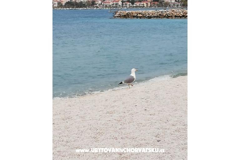 Appartementen Plave oči  – foto 6