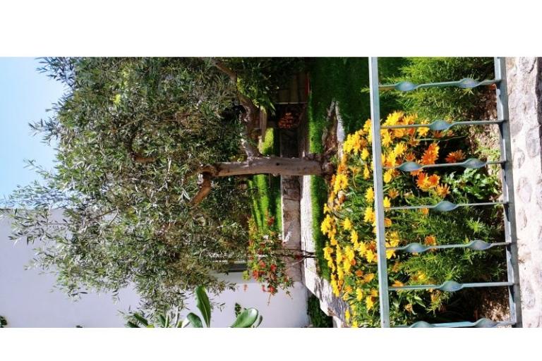 Appartementen Mršić – foto 6