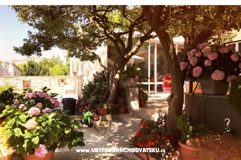 Appartementen &amp; Kamers Tomas – foto 4