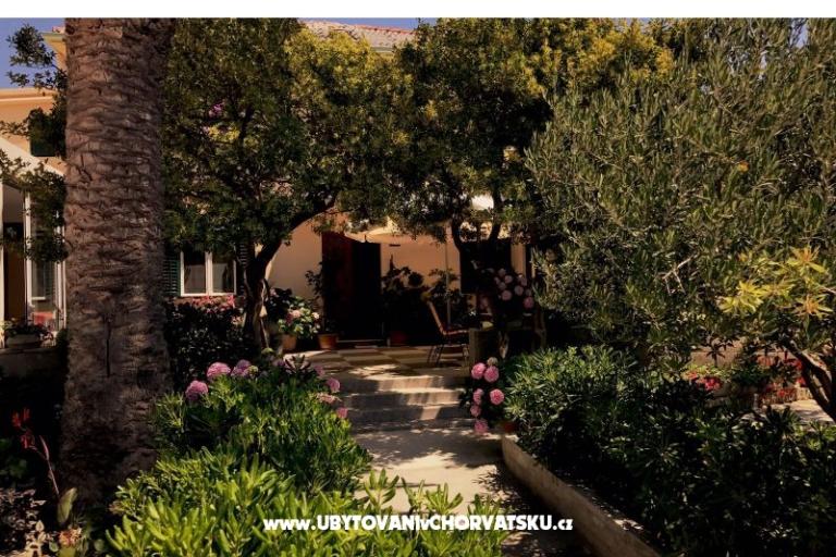 Appartementen &amp; Kamers Tomas – foto 6