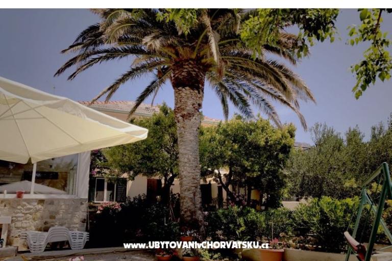 Appartementen &amp; Kamers Tomas – foto 7