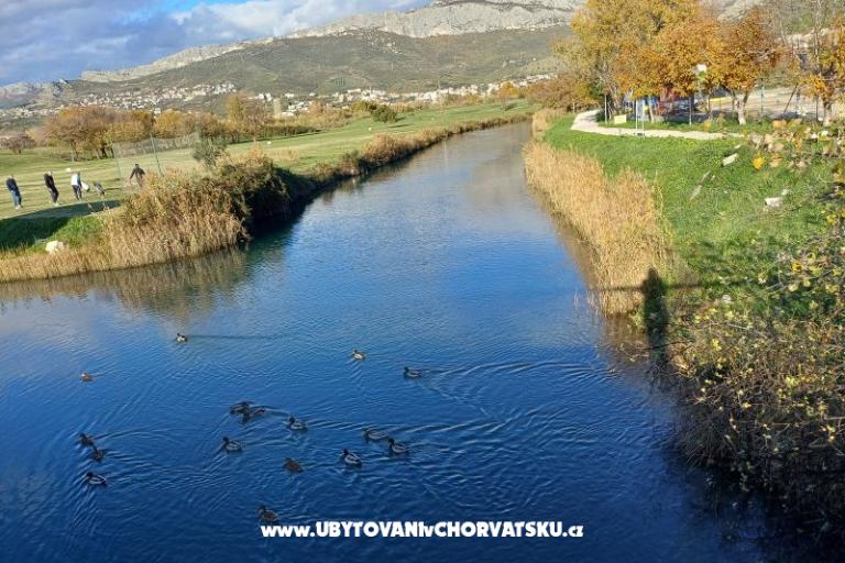 Holiday villa LUX – foto 21
