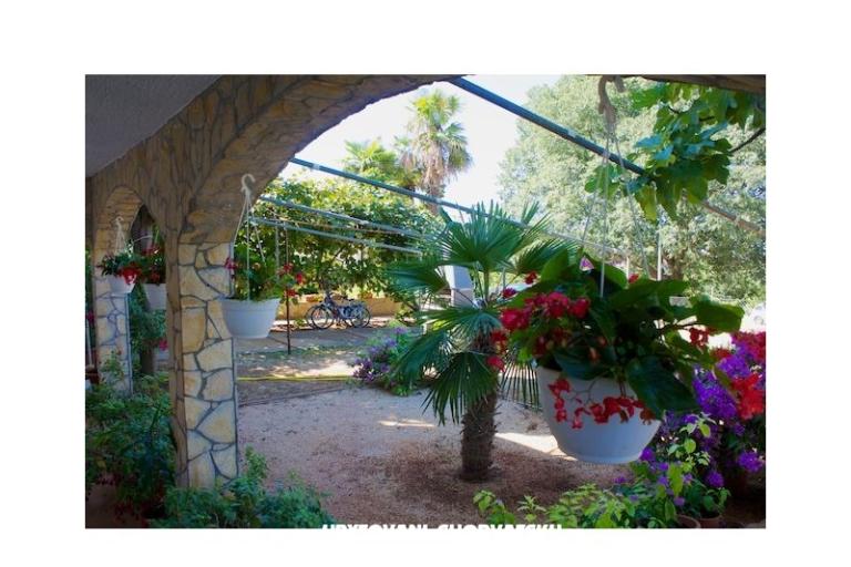 Appartementen Milanović  Poreč – foto 16