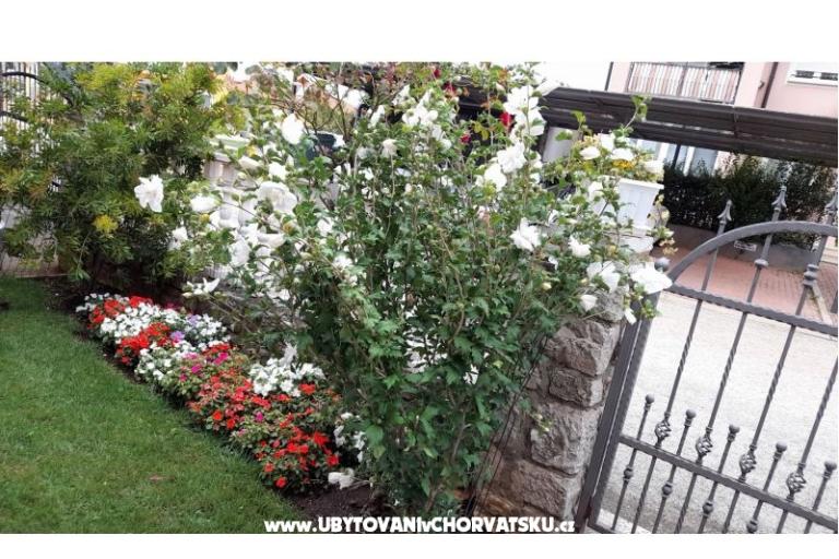 Appartementen Dragica! – foto 24