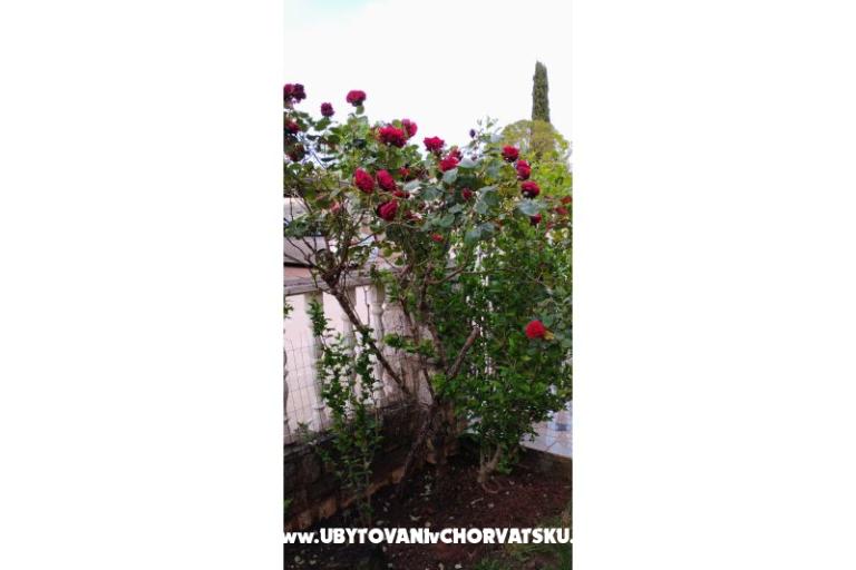 Appartementen Dragica! – foto 28