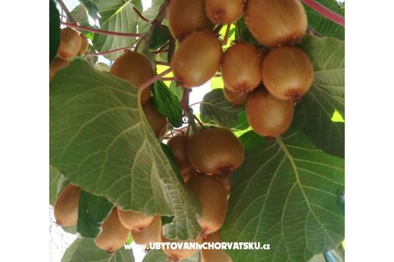 Appartementen Lucija – foto 14