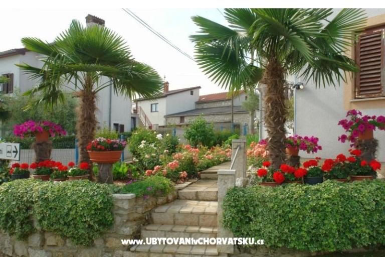 Appartementen Milokanović – foto 4