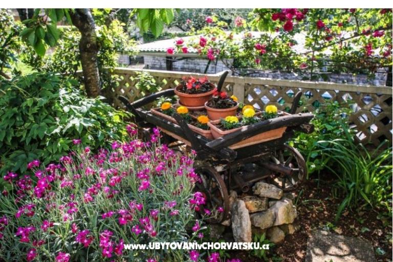 Appartement Lori – foto 13