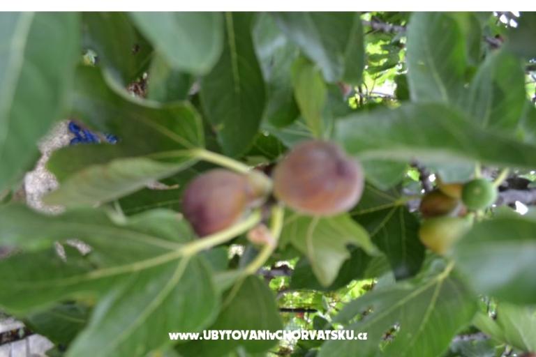 Appartementen Lera – foto 7