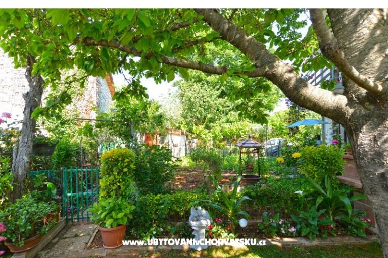 Appartementen Danica – foto 5