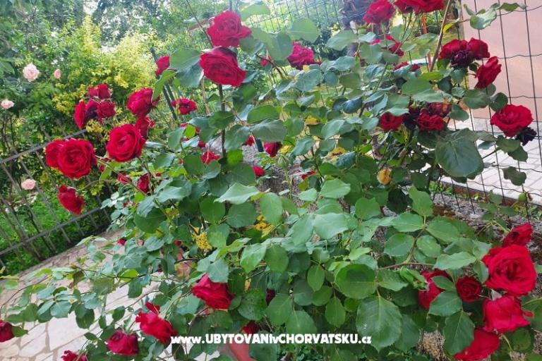 Appartementen Kero – foto 15