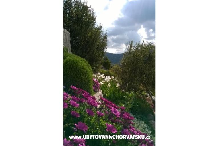 Appartementen   Luka – foto 11