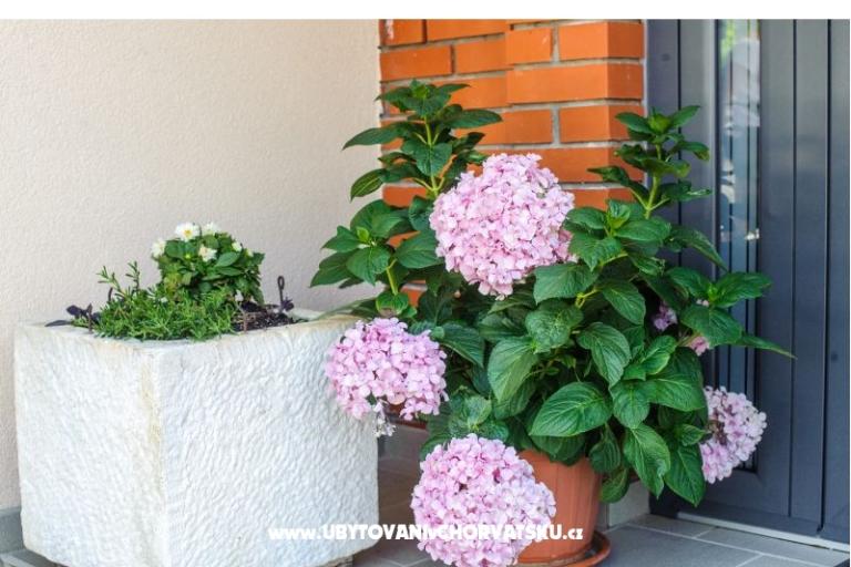 Appartementen Andreja – foto 3