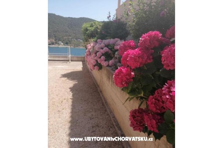 Appartementen ANTONIA – foto 8