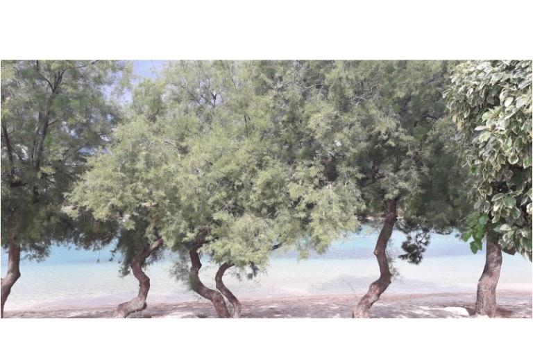 Appartementen Natalija i Ante – foto 10