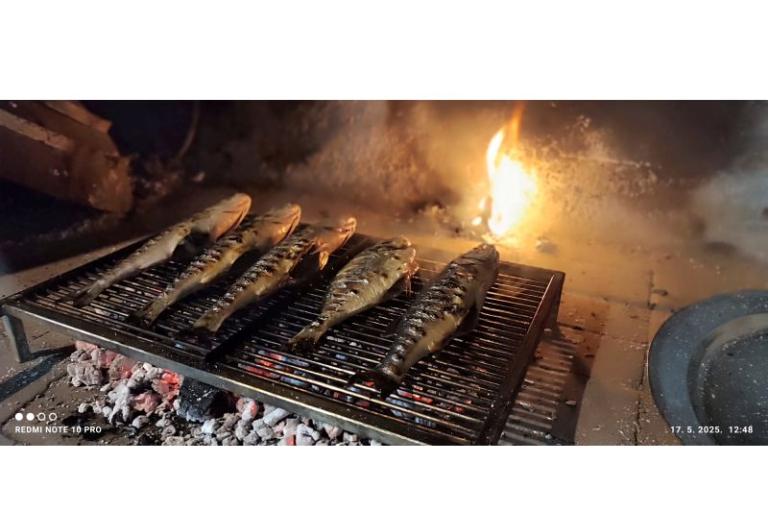 Appartementen Svirčić – foto 10