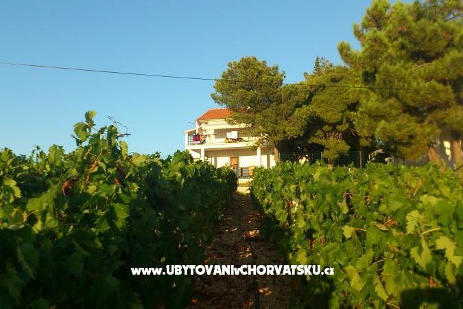 Appartementen vila Diana – foto 8