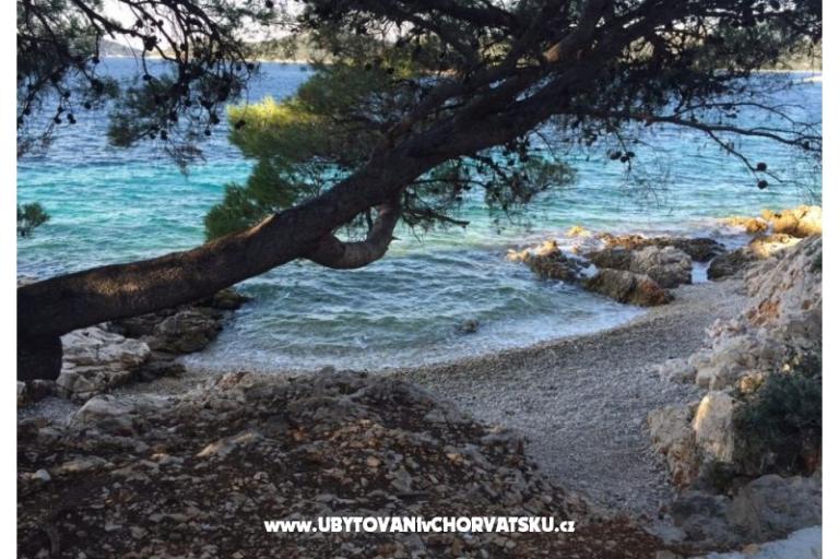 Appartementen Zorka Primošten – foto 14