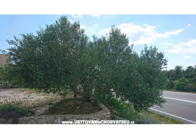 Appartementen Kocka  – foto 10