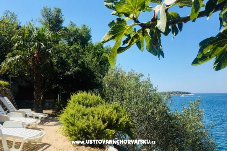 Premium Appartementen JOY – foto 14