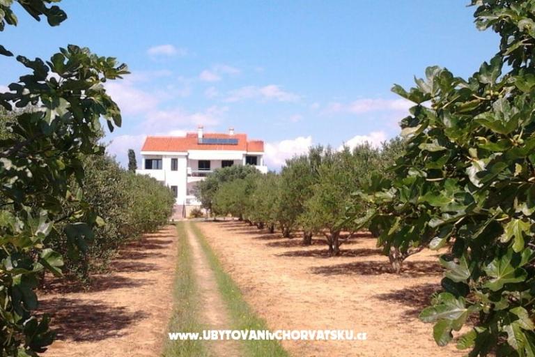 Appartementen Vesna a Ante – foto 10