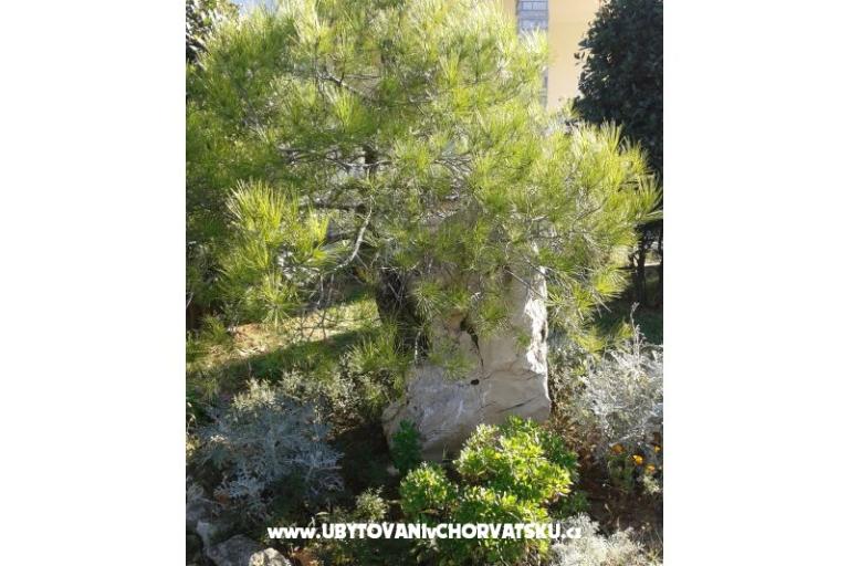 Appartementen Mare & Berto – foto 4