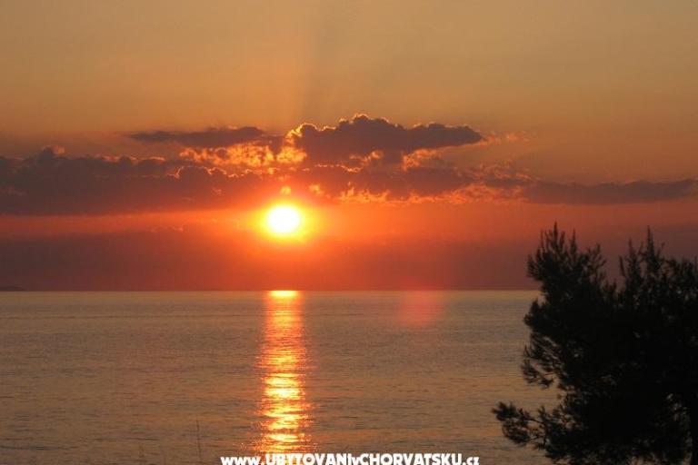 Appartementen  Providenca – foto 14