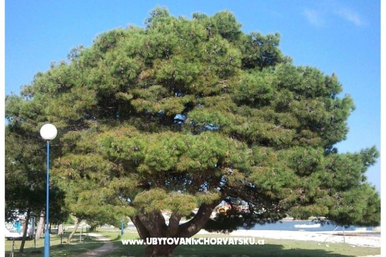 Appartementen Šarić – foto 10