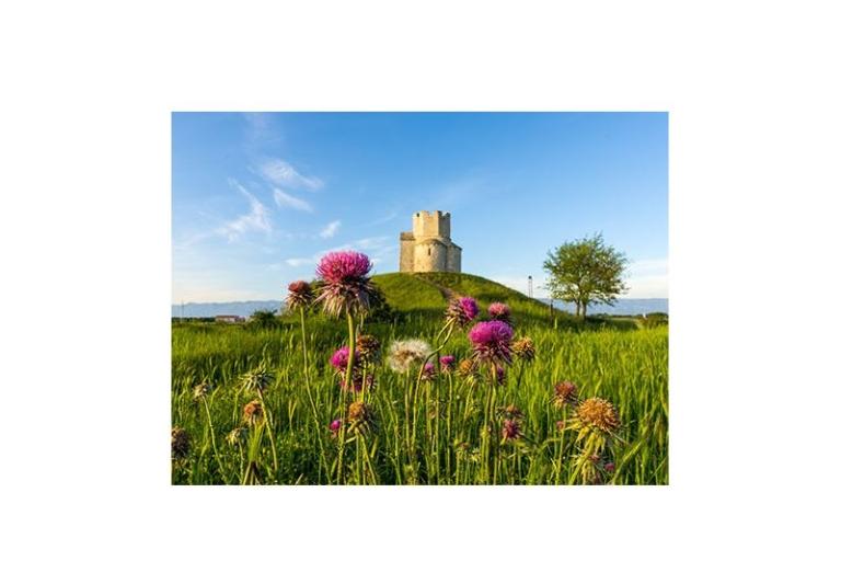 Appartementen Šarić – foto 13